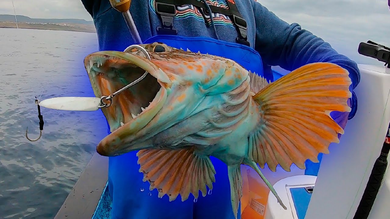 Pesca de FONDO con JIGS|| Pescando especies EXÓTICAS en Ensenada Baja California