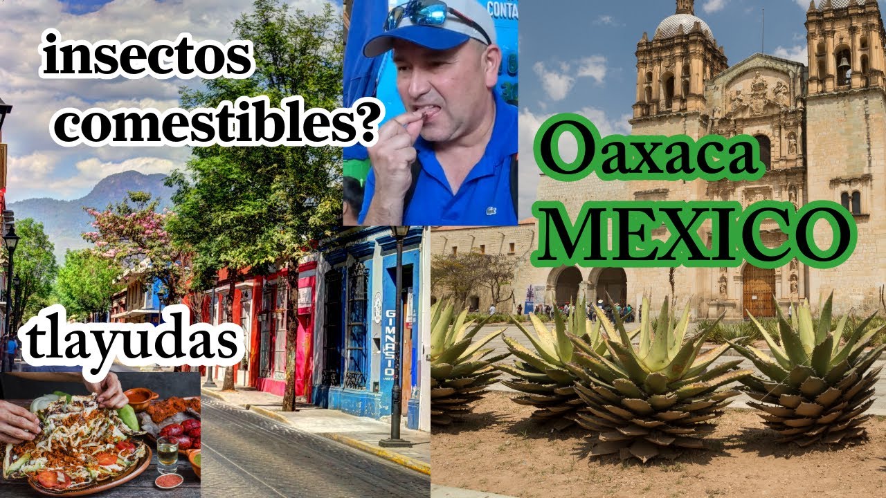 OAXACA MEXICO Ciudad de contrastes: (capítulo 1 )tradición,gastronomia y modernidad