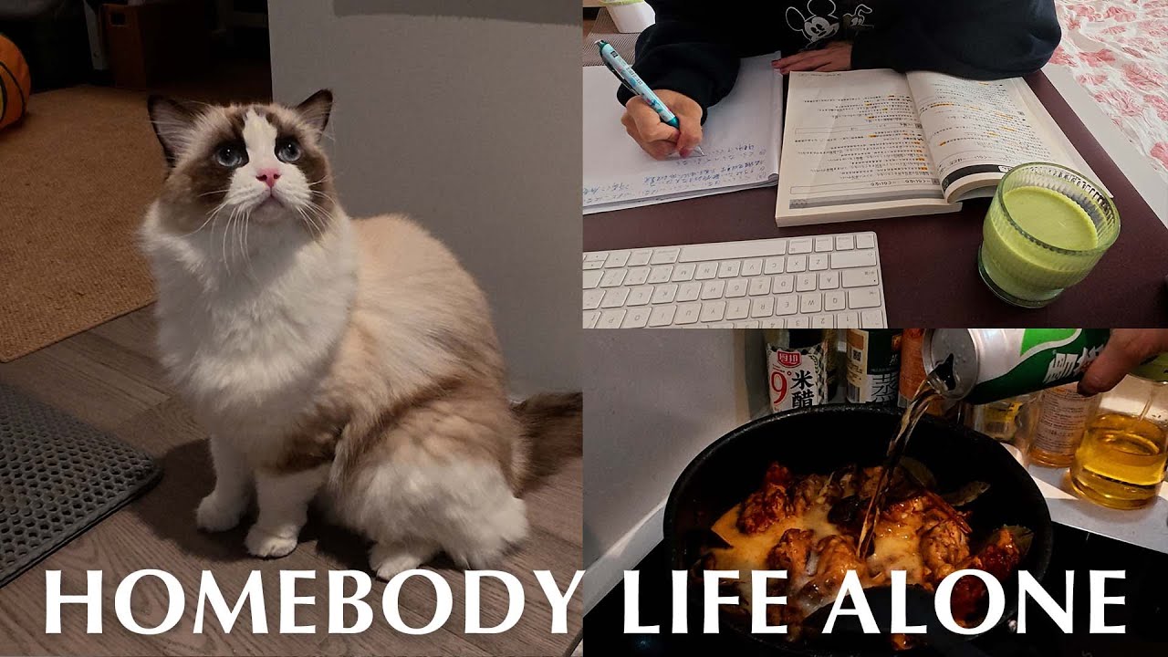 Homebody Life Alone Spicy Beer Chicken Recipe 🍺, Grocery Haul & Brushing My cats' Teeth! 🐱🐈