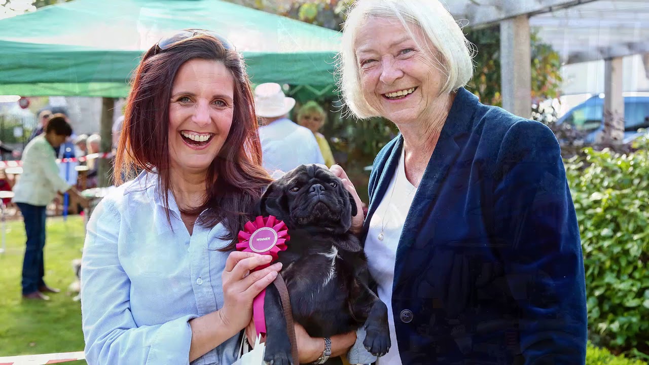 Dog show at Castle View with Kate Adie as judge!