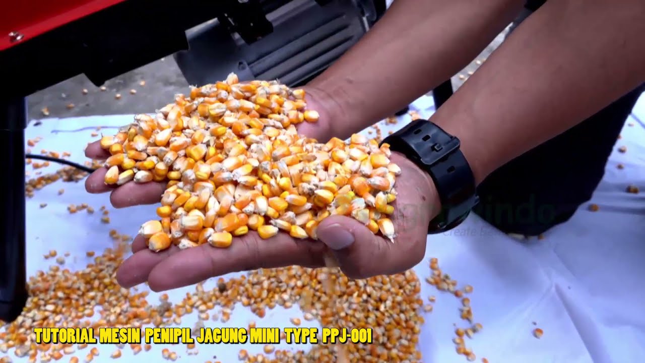Tutorial - Mesin Pemipil Jagung Mini Harga Hemat Type PPJ 001