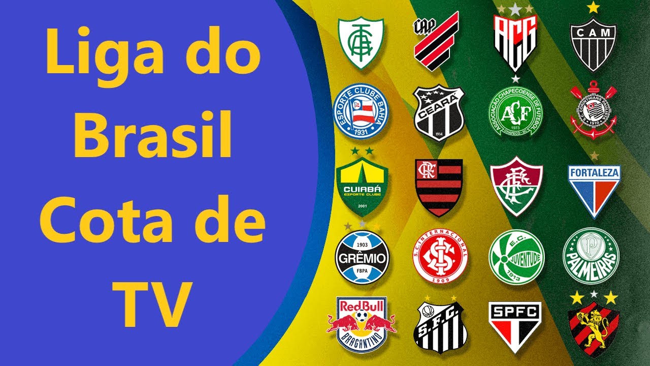 LIBRA - A LIGA BRASILEIRA, DIVIS&Atilde;O DE COTAS