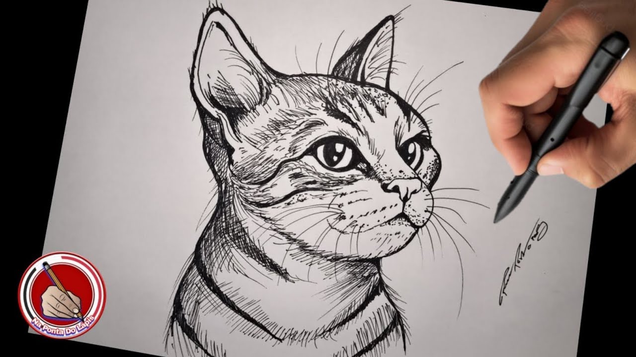 Como desenhar um gato || desenho para iniciantes passo a passo || tutorial fácil para iniciantes 