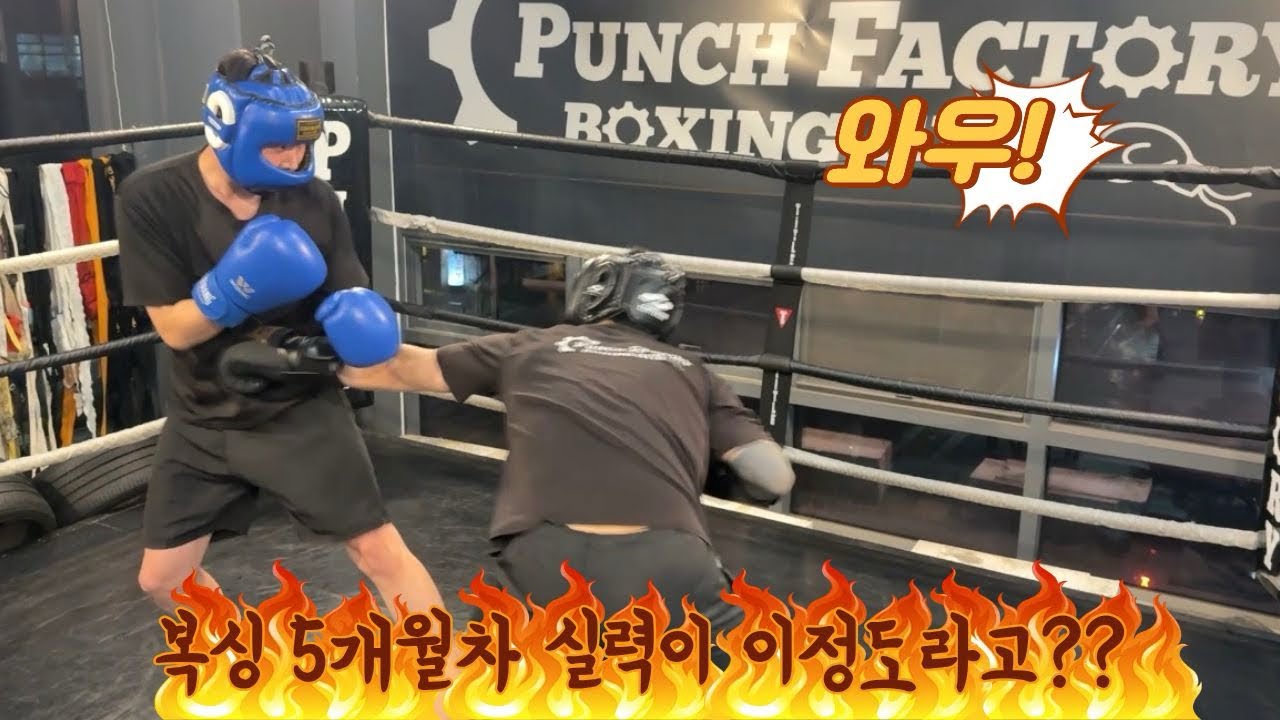 복싱 5개월차 스파링을 이렇게 할 수 있다고?! 
