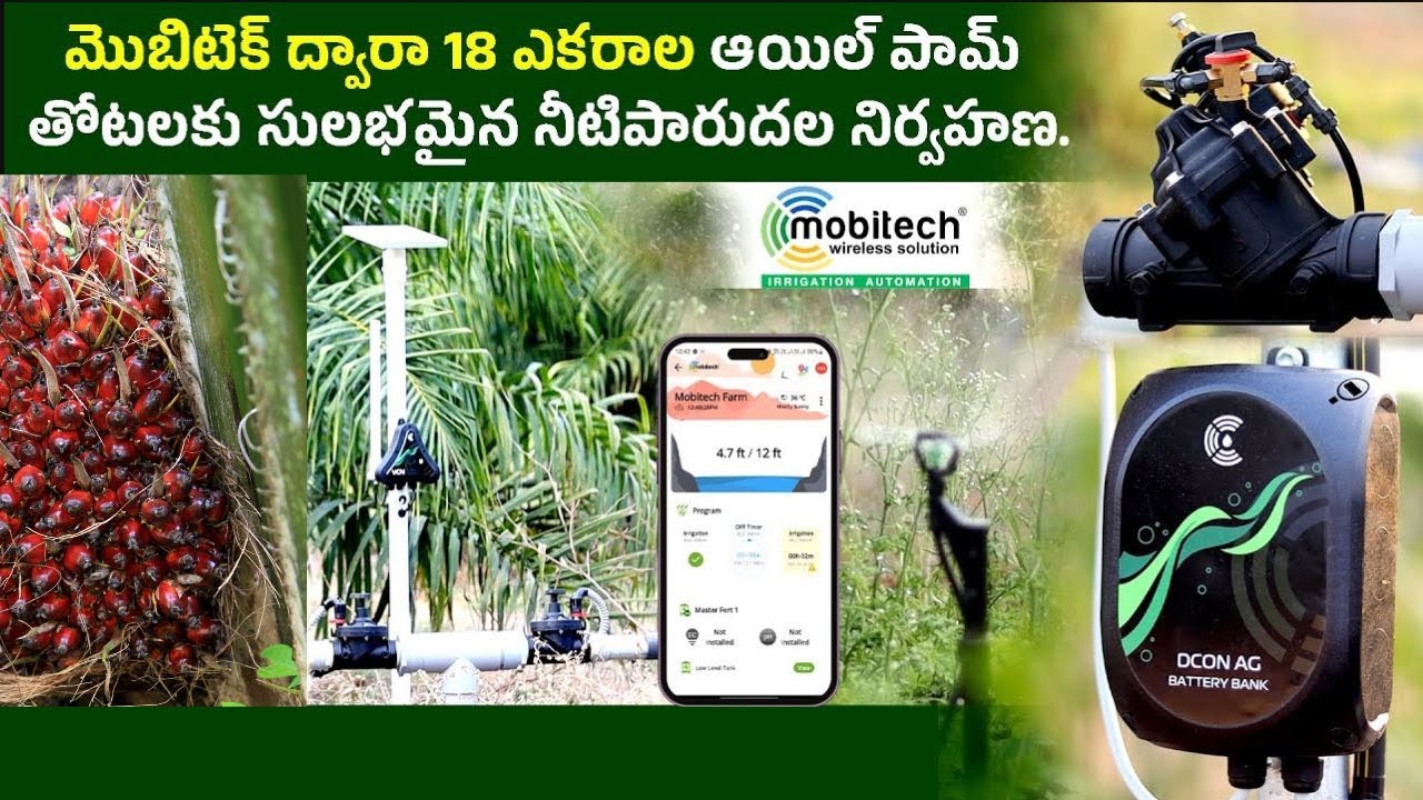 Oil Palm Farmer Solves Irrigation Problems with Mobitech smart irrigation technology ! 🌴