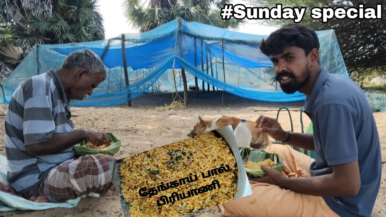  🌴🏞️வாழ்ந்தால் இப்படி வாழனும் 🧑🏿‍🦳🐑 Sunday special 🤤 தேங்காய் பால் பிரியாணி⛺😋#lifestyle #villagelife