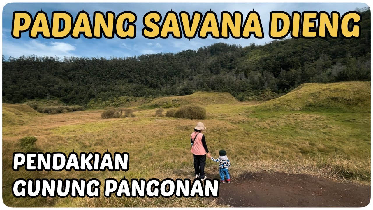 PADANG SAVANA DIENG | Pendakian Sabana Gunung Pangonan Dieng