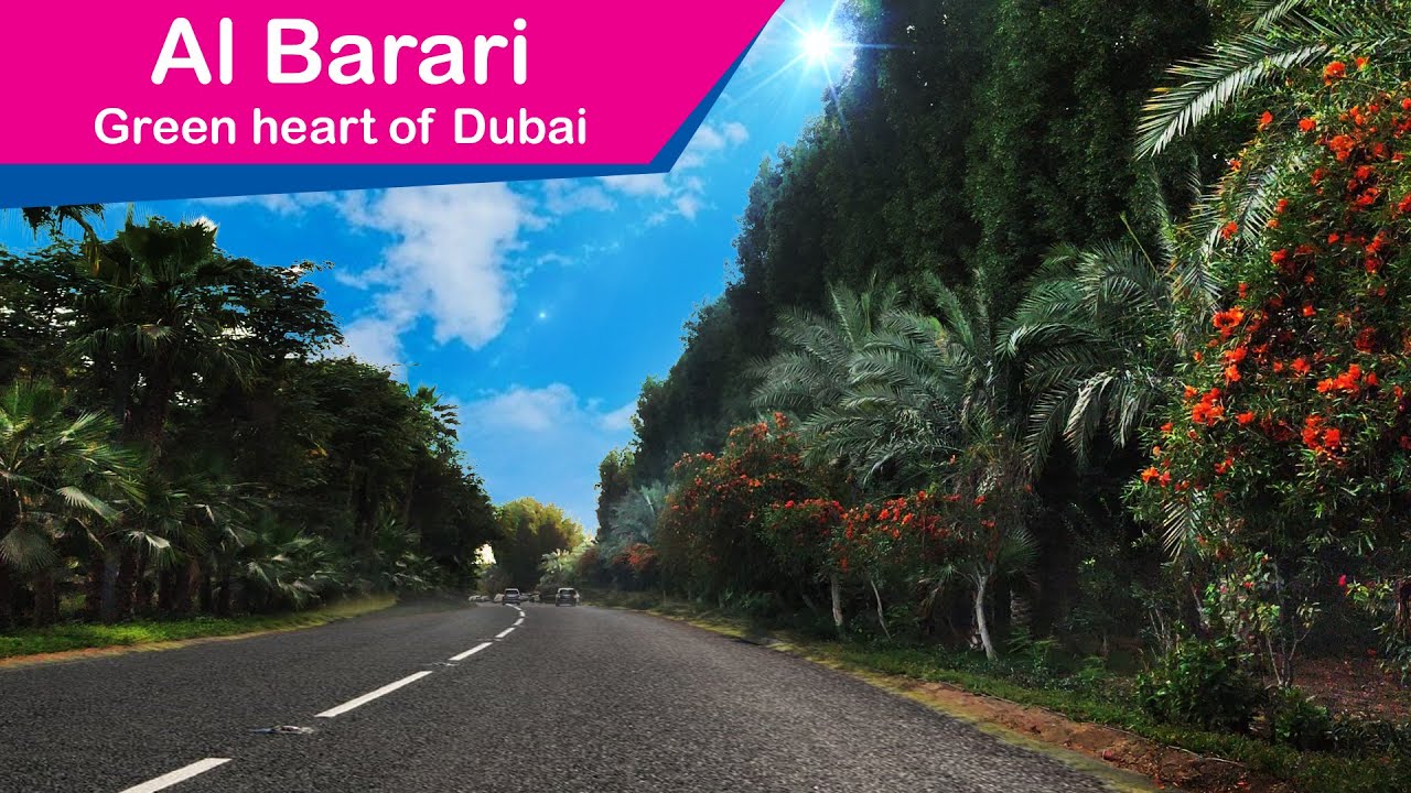 Al Barari - Green Heart of Dubai (Forest-alike) #dubai4k #dubai 💜🇦🇪