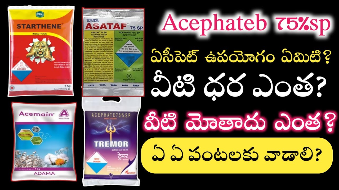 acephate 75 sp uses telugu | starthene insecticide telugu | tata asataf 75 sp | acemain adama telugu