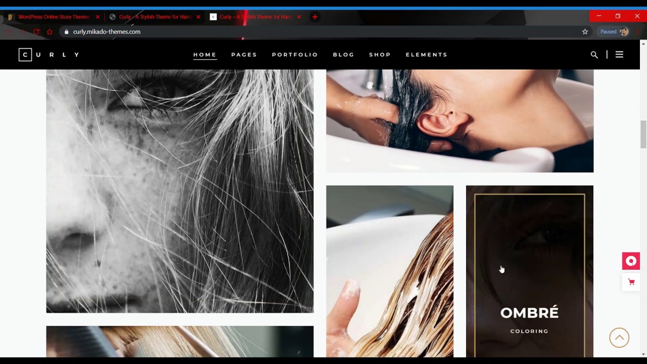 Hair Salon Wordpress Website Sample