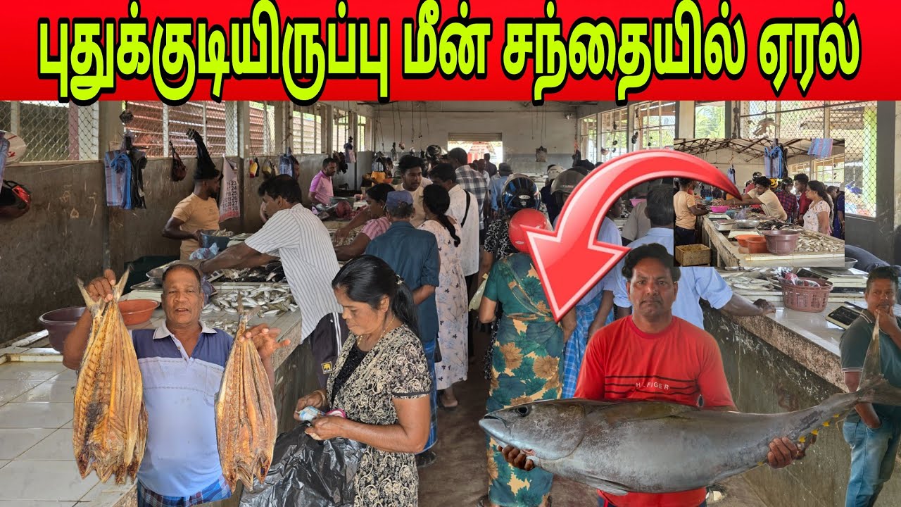🛑புதுக்குடியிருப்பு மீன் சந்தையில் 70.kg பாரிய மீன்கள்