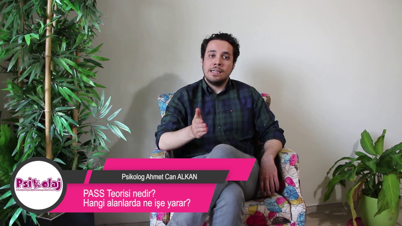 PASS Teorisi 2 - Çocuğunuza Özel Öğrenme Modeli
