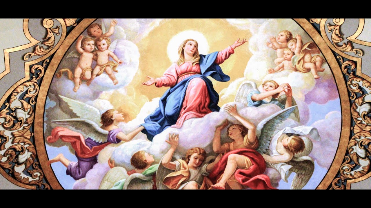 August 2025 Solemnity Assumption: Fr Mark Byrne SOLT, Mystical Mothers of Priest in Divine Will