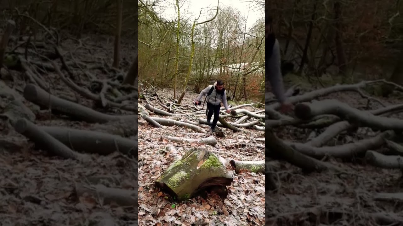 Walking Sounds, Logs & Snow 