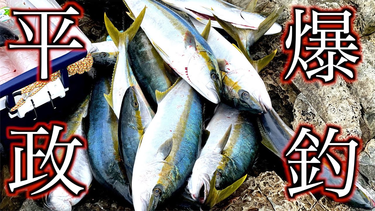 【カゴ釣り】ヒラマサが入れ食い‼︎釣りすぎるとカラダがブッ壊れます…