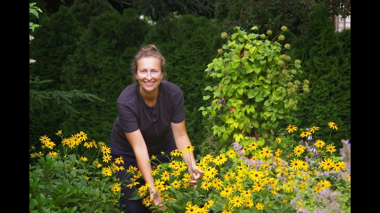 A tour of hidden corner in Olga's garden. @OlgaCarmody