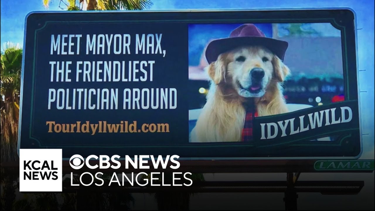 Heading to the Inland Empire to meet Idyllwild's 