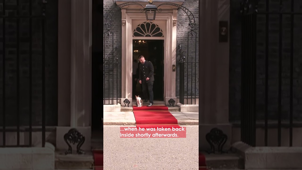 Boos as Larry the Cat is Removed From Downing Street Red Carpet