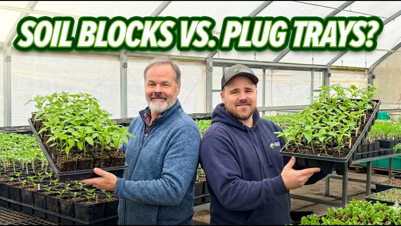 Soil Blocks vs. Plug Trays: Our System for Massive Efficiency (Episode 2)