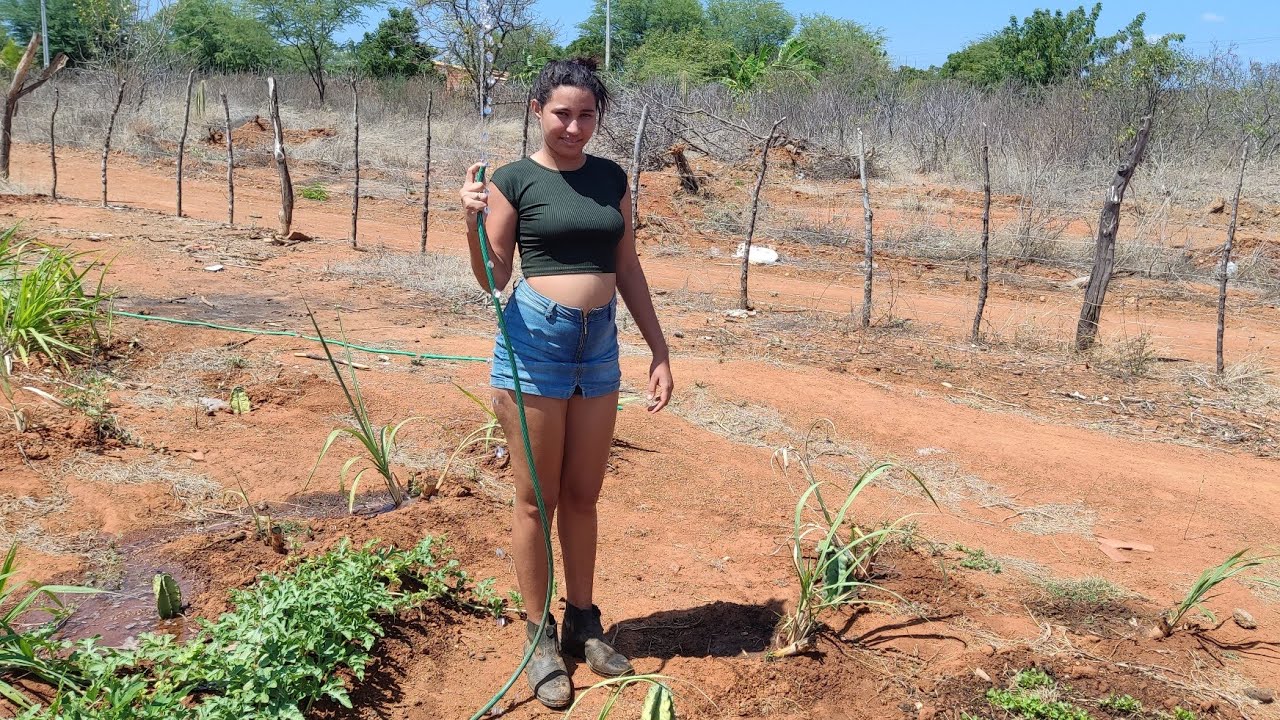 HOJE FOI DIA DE VITÓRIA ÁGUAS PLANTAS