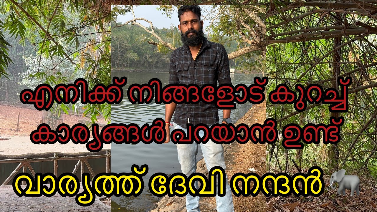 ഇതൊക്കെ  കേട്ടിട്ട്  വില ഇരുത്തുക 🙏🙏/Malayalam elephant video reaction/ #elephant #aana 
