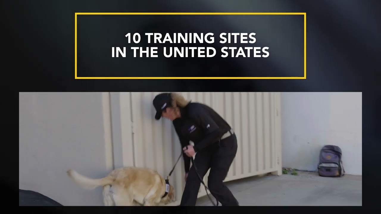 MSA Security Company Overview