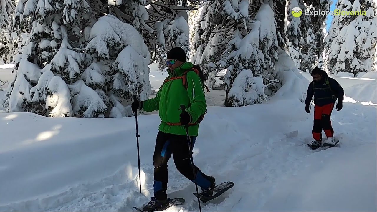 Snowshoeing in Pohorje - Rogla