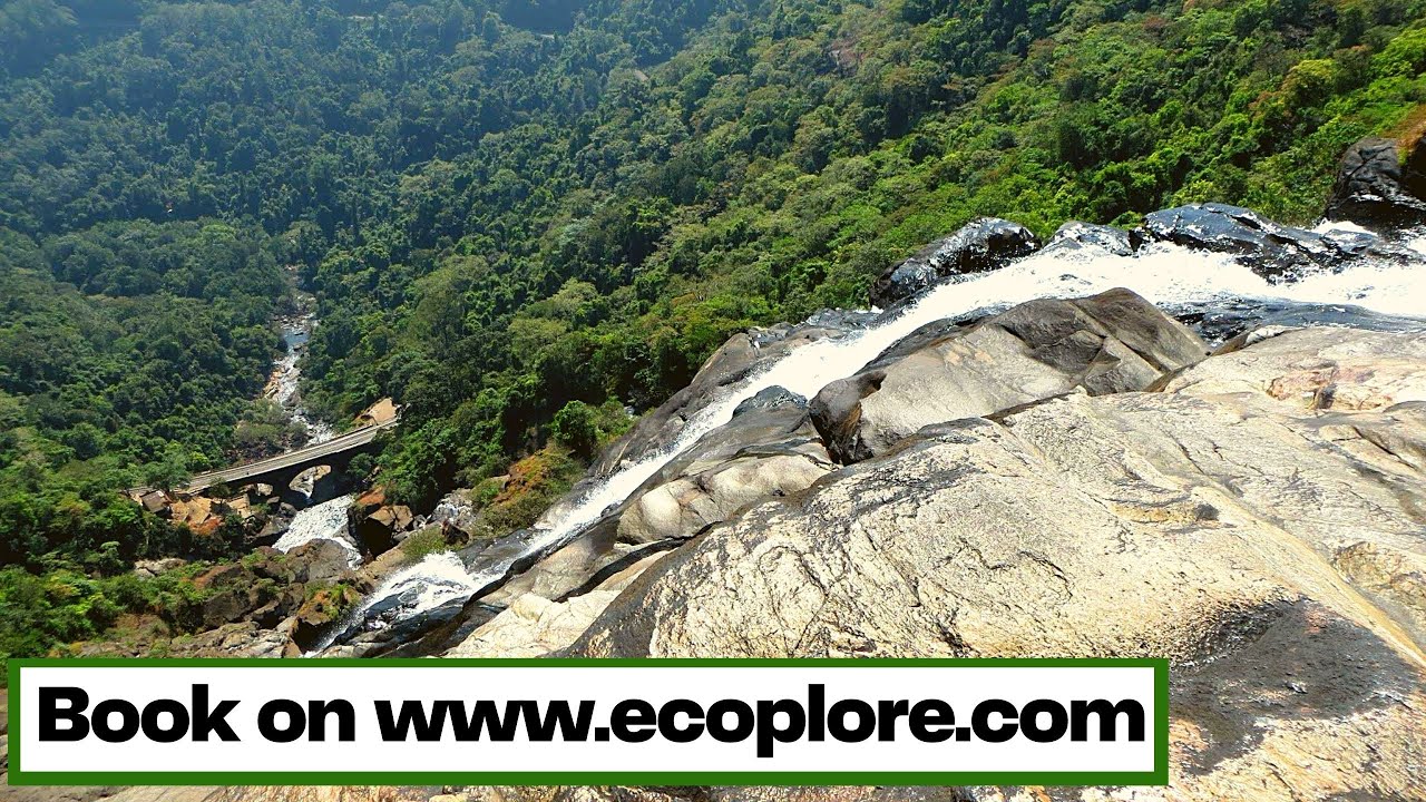 Goa | The hub of waterfalls | Ecoplore| India's largest Eco Travel Company