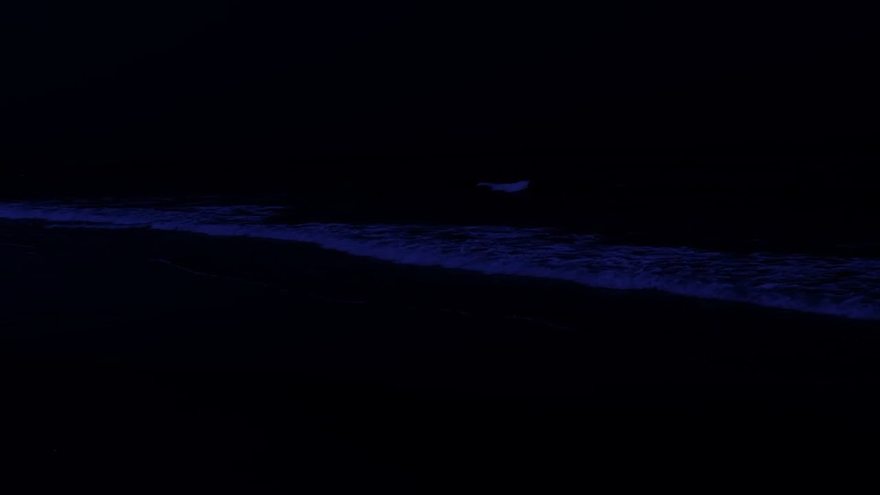 Relax with Ocean Sounds No Ads | Endless Soothing Waves for Stress-Free Sleep and Focus