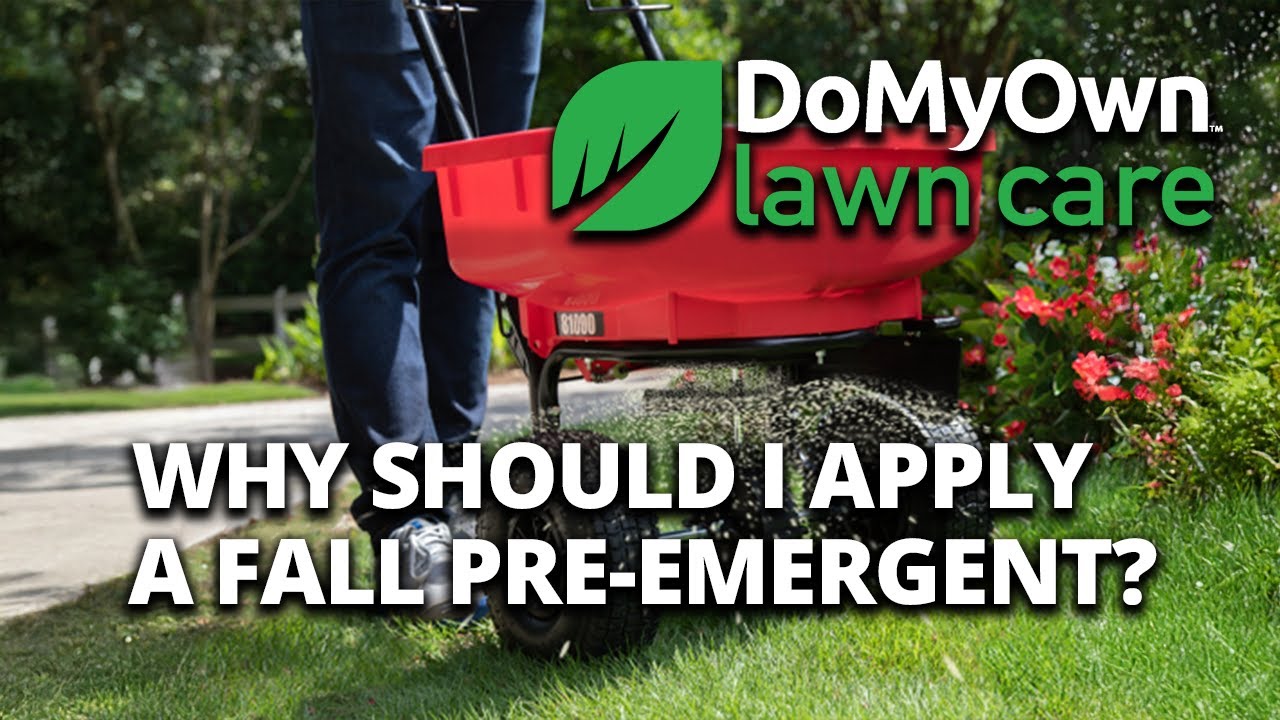 Why Should I Apply Fall Pre Emergent Herbicides?  - Weed Prevention Tips | DoMyOwn.com