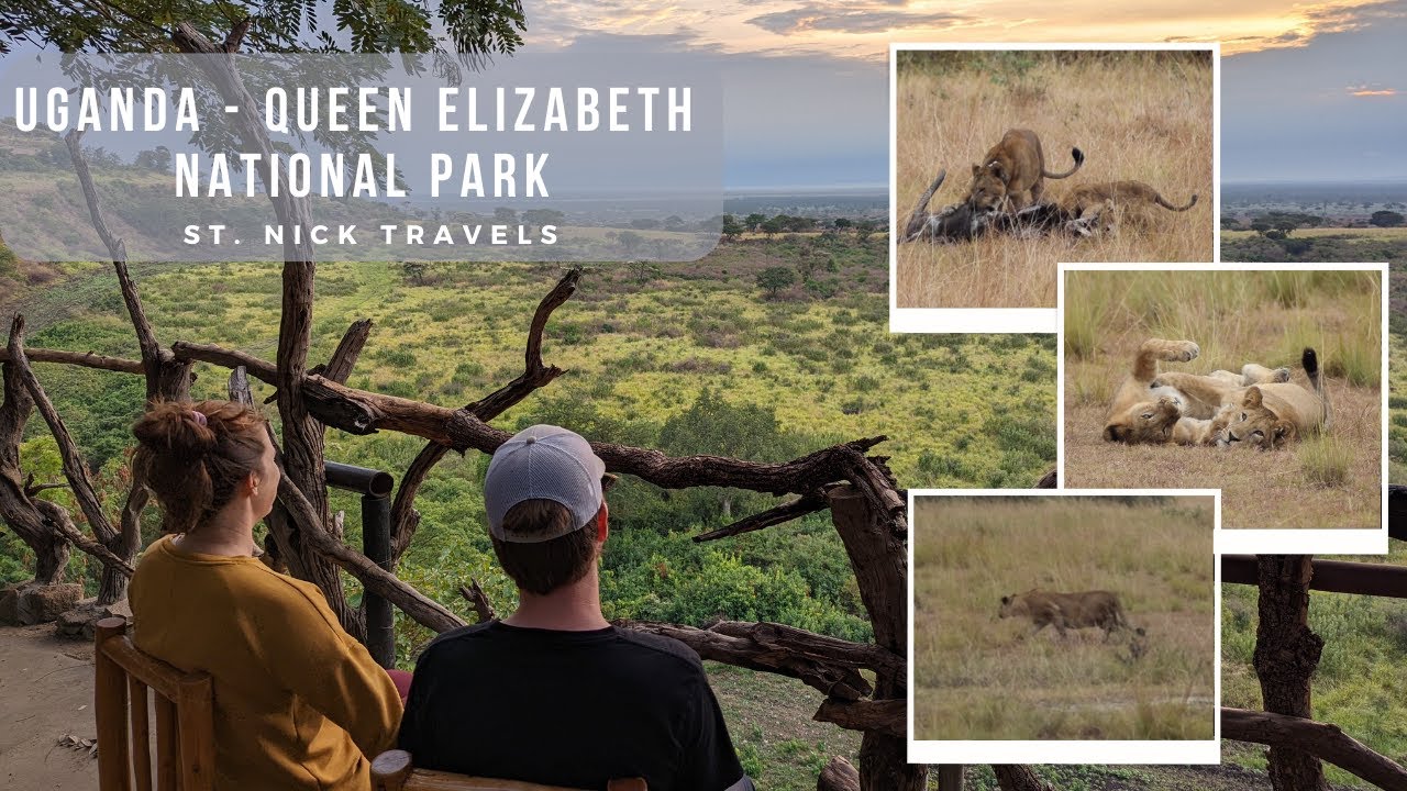 Lions STALKING AND FEEDING in Queen Elizabeth National Park