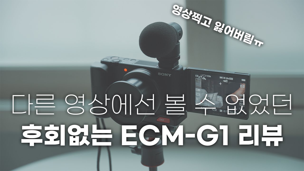 좋은듯 나쁜듯 좋은 ECM-G1리뷰