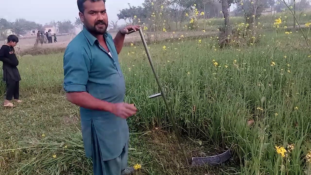 ٹائٹل: