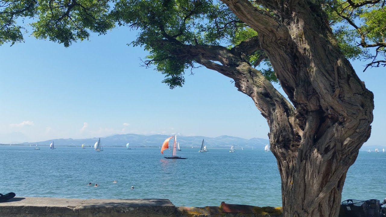 Der Bodensee-Radweg, Alle Infos zum Radweg und zu den Attraktionen am Bodensee