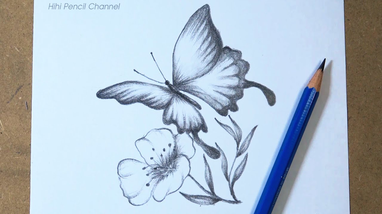 How to draw a butterfly on a flower step by step | Hihi Pencil