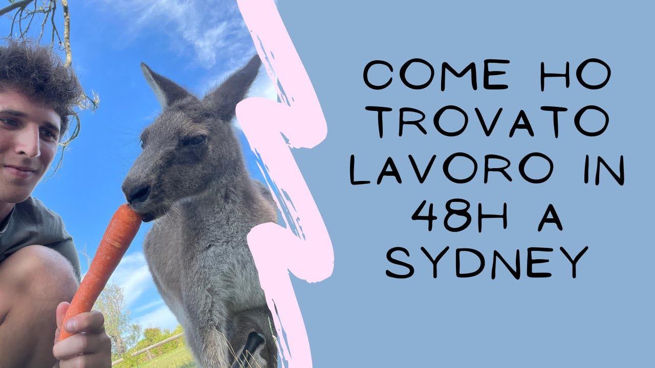 COME HO TROVATO LAVORO IN 24 ORE A SYDNEY🇦🇺