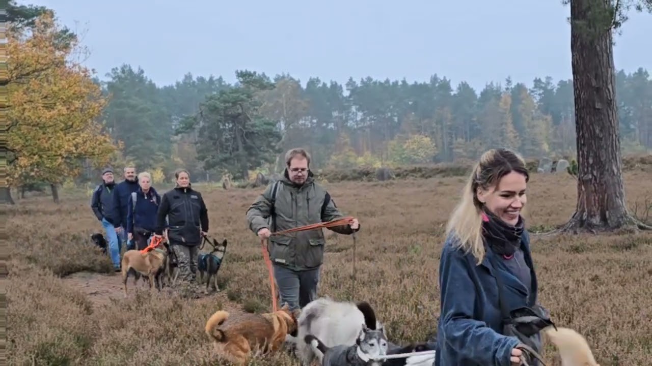 Wanderwochenende Lüneburger Heide Halloween 2024