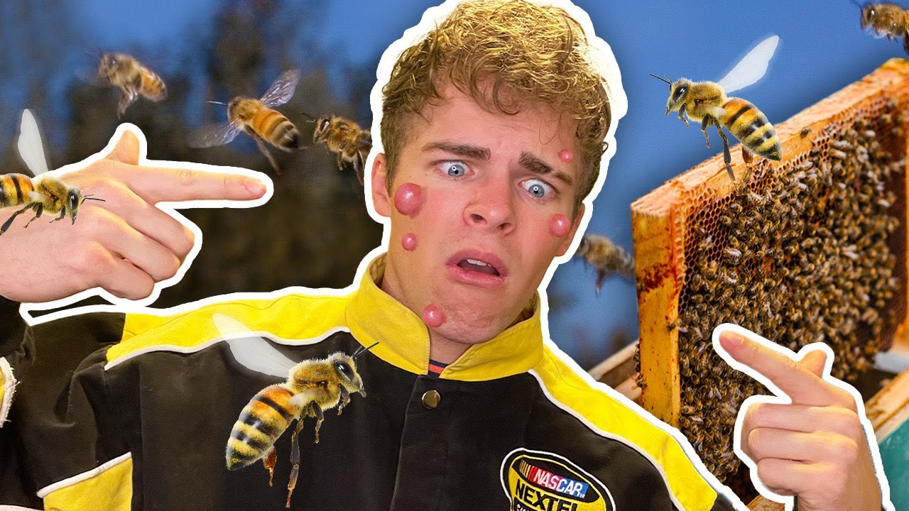 PLAYING WITH 4 MILLION BEES?! EXOTIC JOBS WITH COLTYY EPISODE 1!