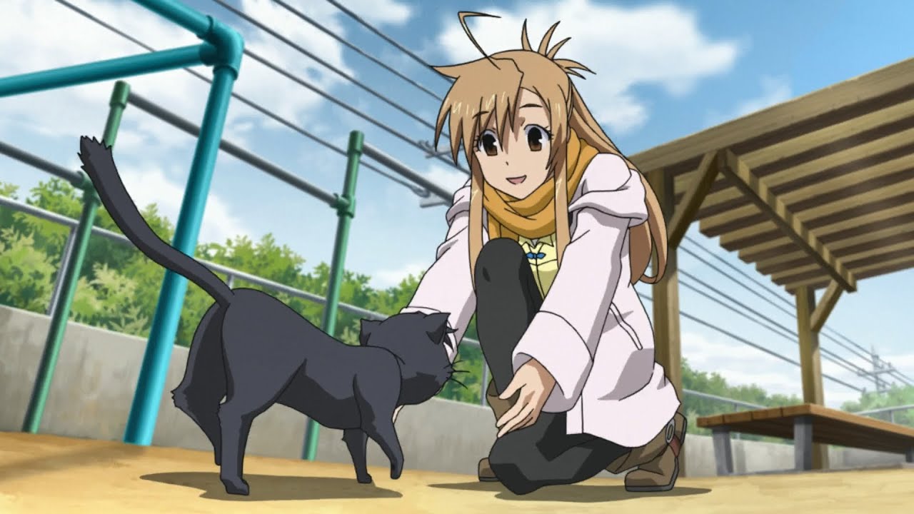 Boy Gets Cursed To Turn Into A Cat And Speak Their Language Unless He Helps A 100 Cats | Anime Recap