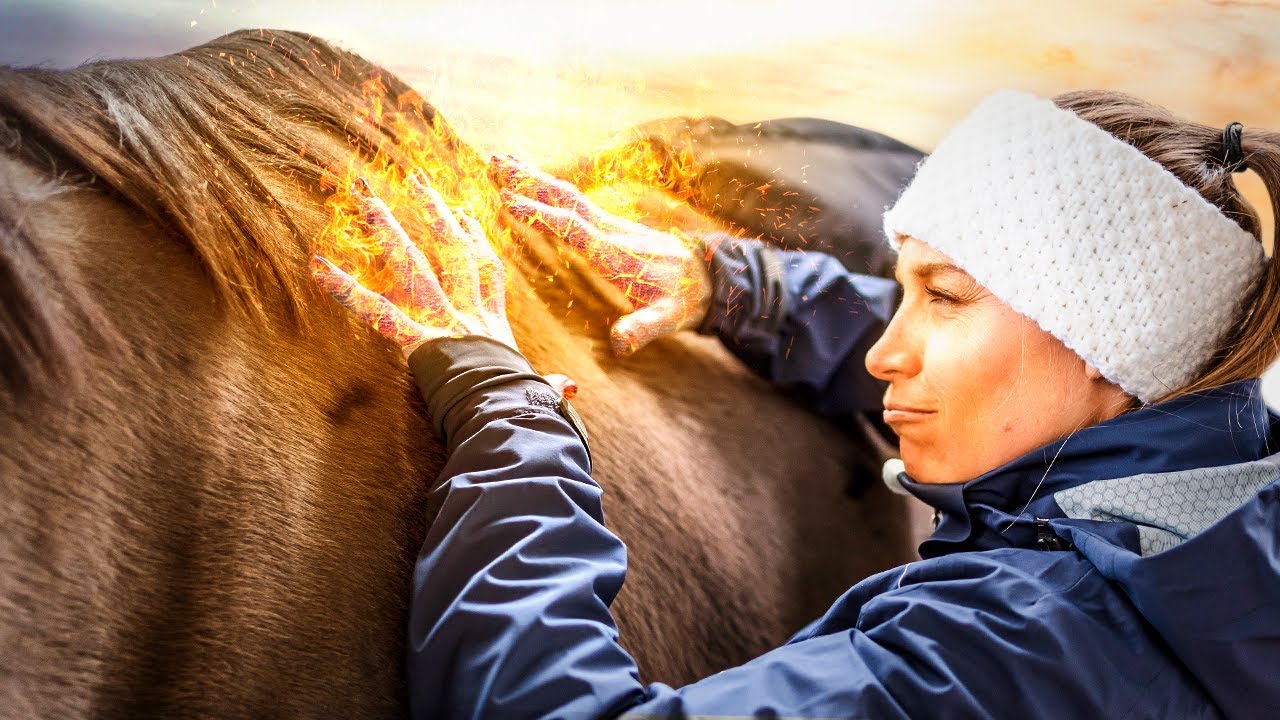 MASSAGES FACILES sans matériel - pour un cheval au max de sa vie !