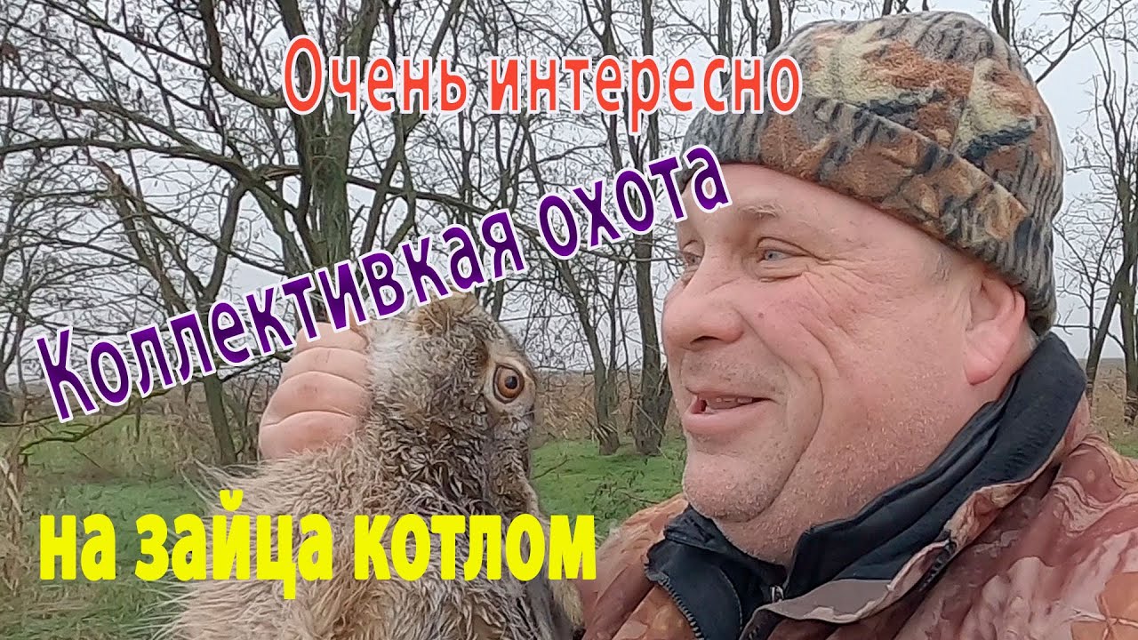 Интересная и увлекательная охота на зайца коллективом. Загоном или котлом