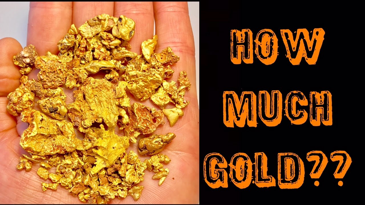 HOW MUCH GOLD DID I FIND in 2016 Metal Detecting??