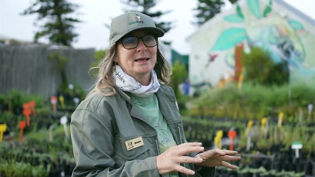 Day In The Life Episode 11 - Fynbos Life