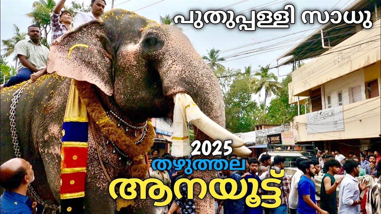 തഴുത്തല ആനയൂട്ട് 2025| തഴുത്തല മഹാഗണപതി ക്ഷേത്രം | Thazhuthala Aanayoottu 2025