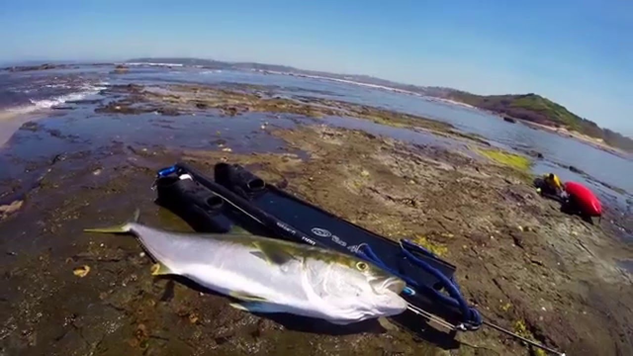 Spearfishing Sydney Australia - Part 9