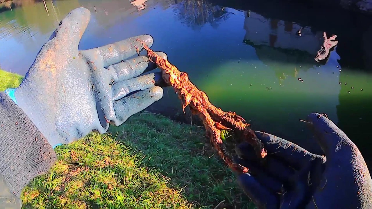 #pêcheàl #dingueries  Cet endroit est inépuisable  une DINGUERIE !! @DidTrésorsAventures