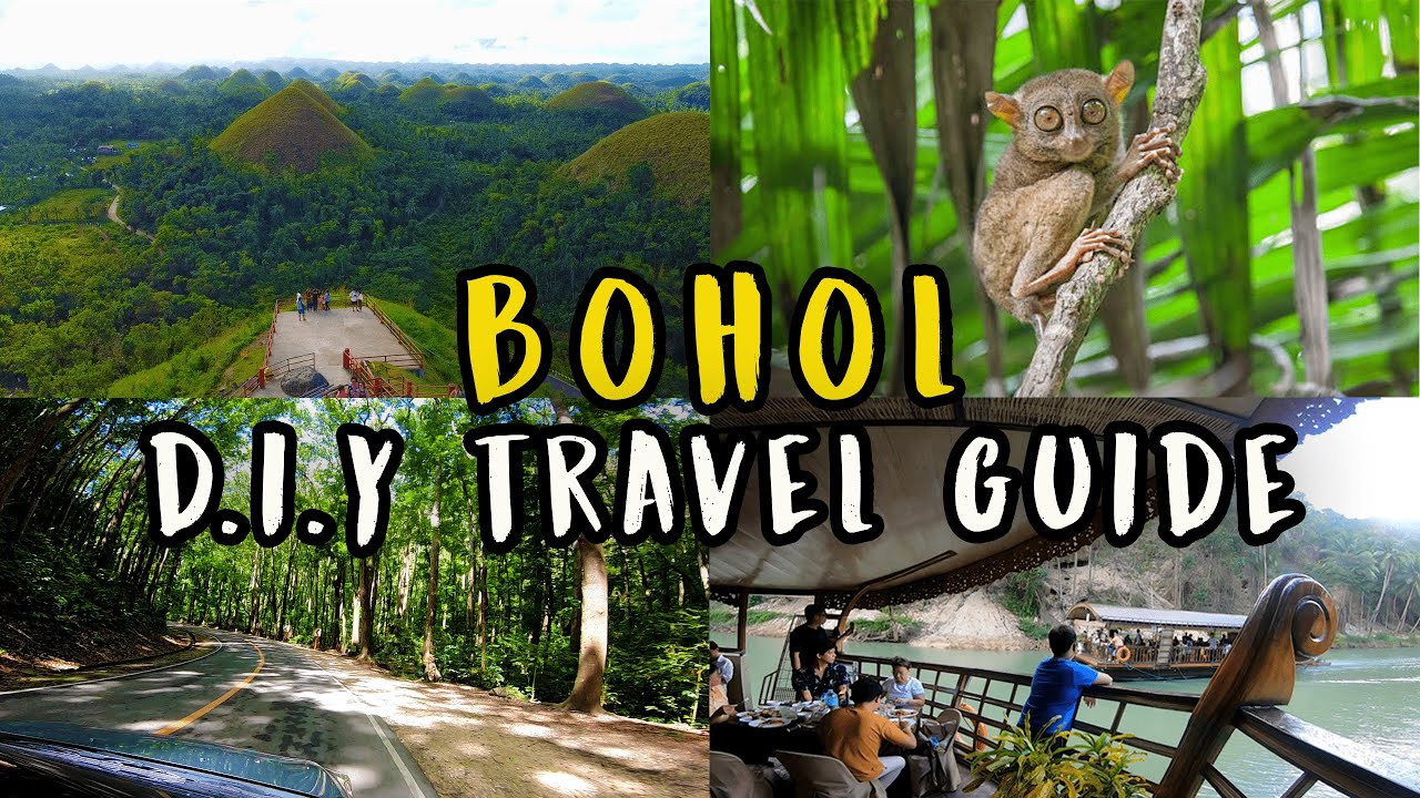 2023 BOHOL DIY Travel Guide Chocolate Hills Tarsier Bilar Man Made Forest Loboc River Cruise