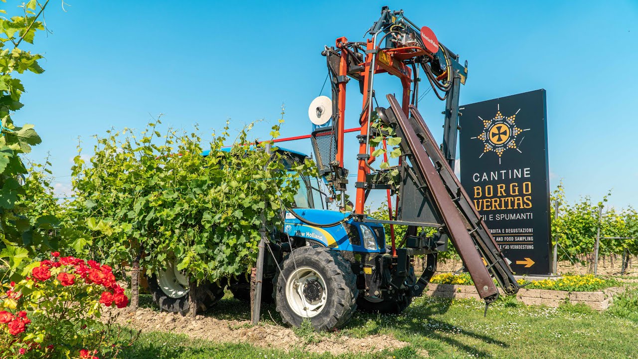 New Holland TN950 + Legatrice Volentieri-Pellenc LIV 00 | Mascherin