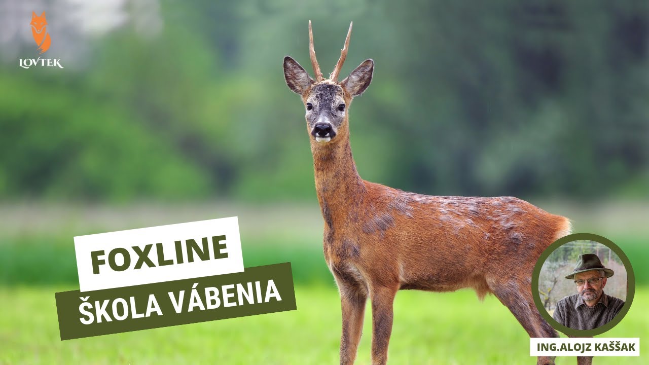 Srnčia vábnička FOXLINE- LOVTEK, vábenie s Ing. Alojz Kaššák