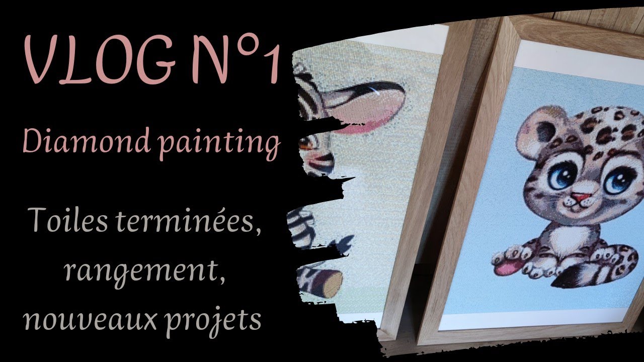 VLOG N°1 -2023- Diamond painting, avancées, rangement, blabla #vlog #diamondpainting #organisation